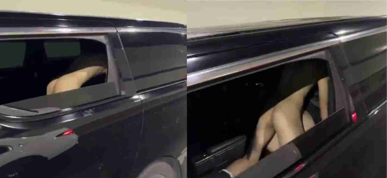 开阿尔法的就是牛逼 车震都有司机 一边开车 一边操逼