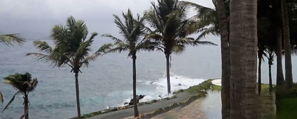 爱泼斯坦神秘小岛首度曝光  露出豪华别墅外景 居然这么美轮美奂 确实是专为富翁打造的约炮圣地