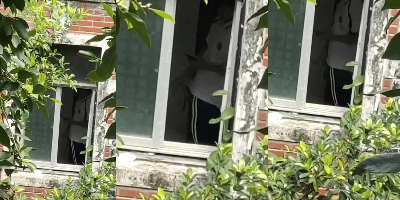 【这又是谁得部下!!!】海南城市职业技术学校23届汽修1班符光项 在学校宿舍打飞机不关窗被偷拍 视频流出